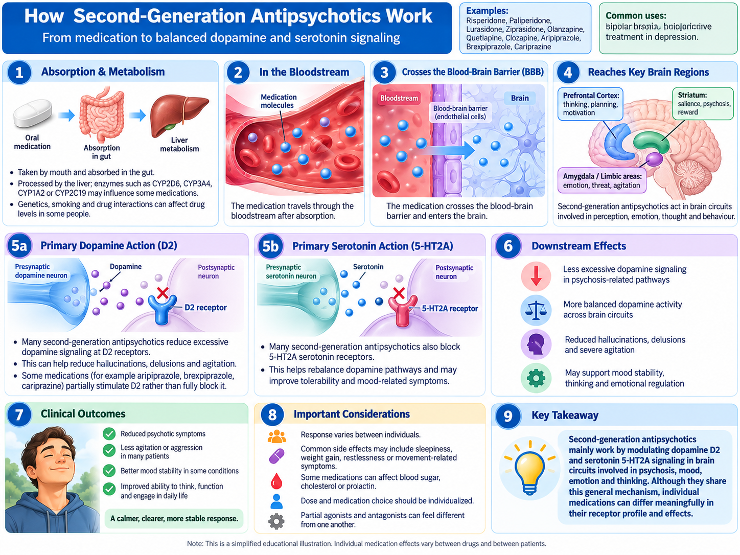 How antipsychotics work: the drug blocks dopamine D2 receptors, and many also act on serotonin receptors