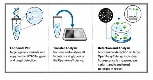 Lab processing stages: endpoint PCR, transfer analysis, then detection and analysis