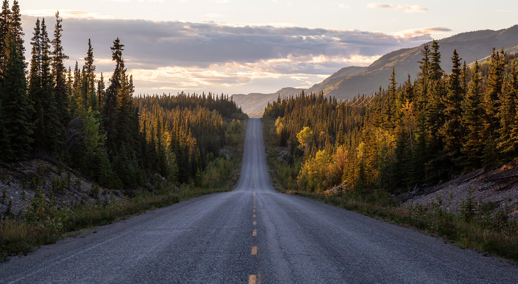 Scenic Road View